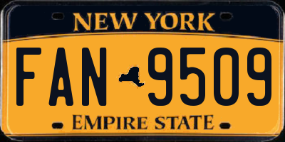 NY license plate FAN9509