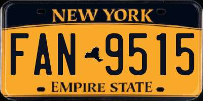 NY license plate FAN9515