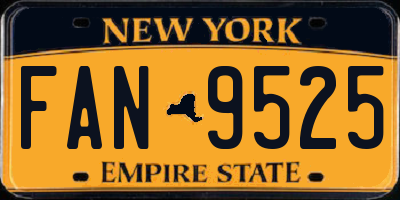 NY license plate FAN9525