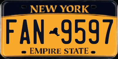 NY license plate FAN9597