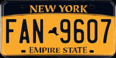 NY license plate FAN9607