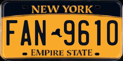 NY license plate FAN9610