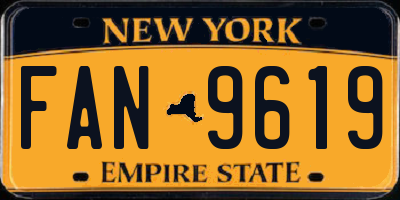 NY license plate FAN9619