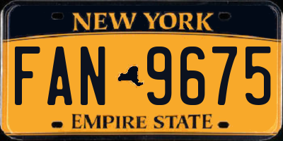 NY license plate FAN9675