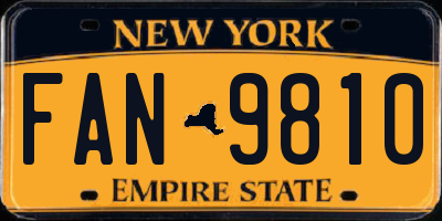 NY license plate FAN9810