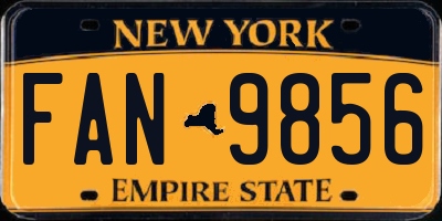 NY license plate FAN9856