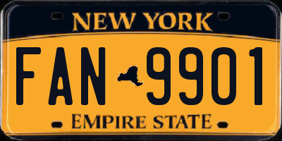 NY license plate FAN9901