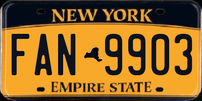 NY license plate FAN9903