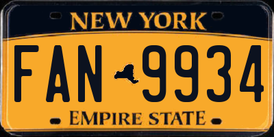 NY license plate FAN9934