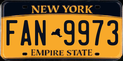 NY license plate FAN9973