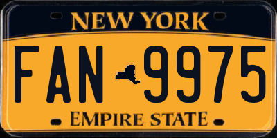 NY license plate FAN9975