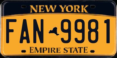 NY license plate FAN9981