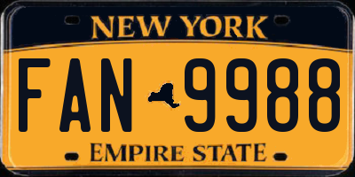NY license plate FAN9988