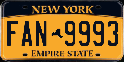 NY license plate FAN9993