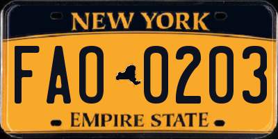 NY license plate FAO0203