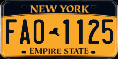NY license plate FAO1125