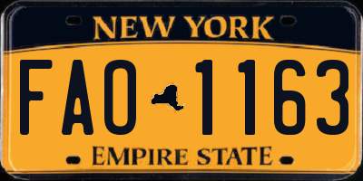 NY license plate FAO1163