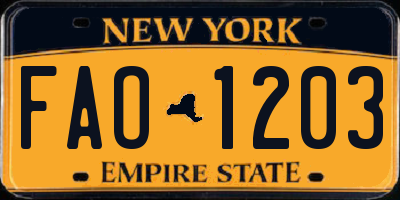 NY license plate FAO1203