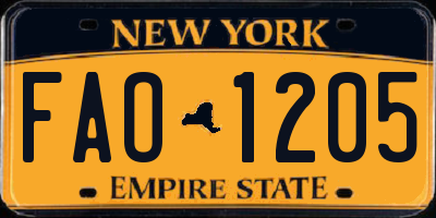 NY license plate FAO1205