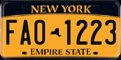 NY license plate FAO1223