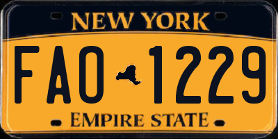 NY license plate FAO1229