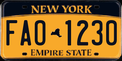 NY license plate FAO1230
