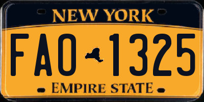 NY license plate FAO1325