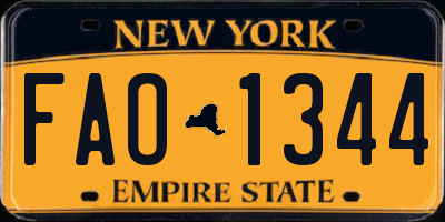 NY license plate FAO1344