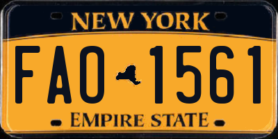NY license plate FAO1561