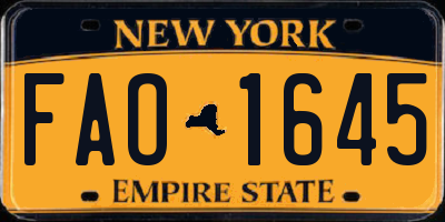 NY license plate FAO1645