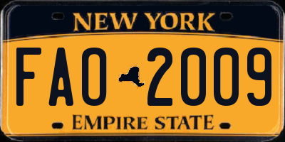 NY license plate FAO2009