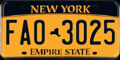 NY license plate FAO3025
