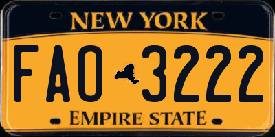 NY license plate FAO3222