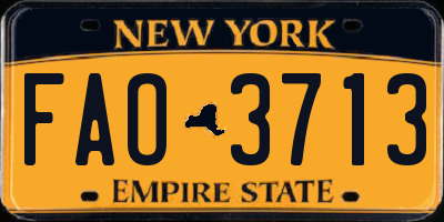 NY license plate FAO3713