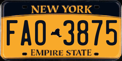 NY license plate FAO3875