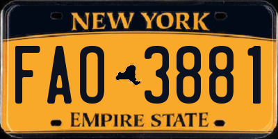NY license plate FAO3881