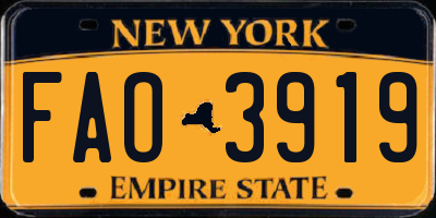 NY license plate FAO3919