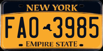 NY license plate FAO3985