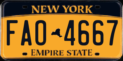 NY license plate FAO4667