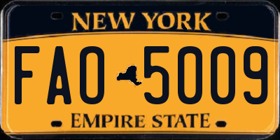 NY license plate FAO5009