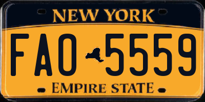 NY license plate FAO5559
