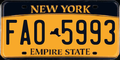 NY license plate FAO5993