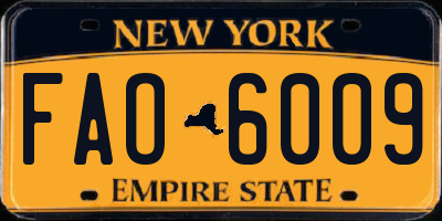 NY license plate FAO6009