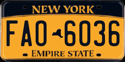 NY license plate FAO6036