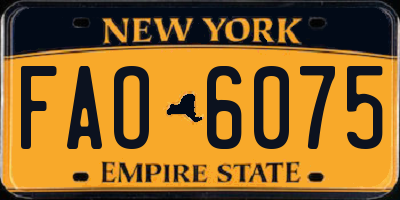 NY license plate FAO6075
