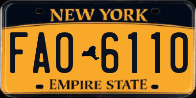 NY license plate FAO6110