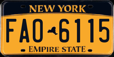 NY license plate FAO6115