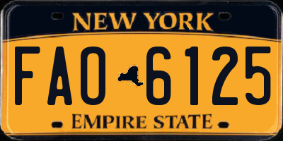NY license plate FAO6125