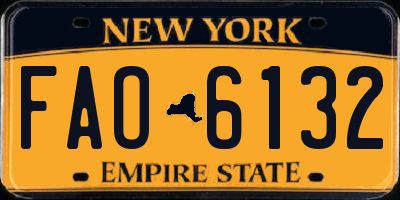 NY license plate FAO6132