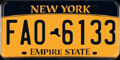 NY license plate FAO6133